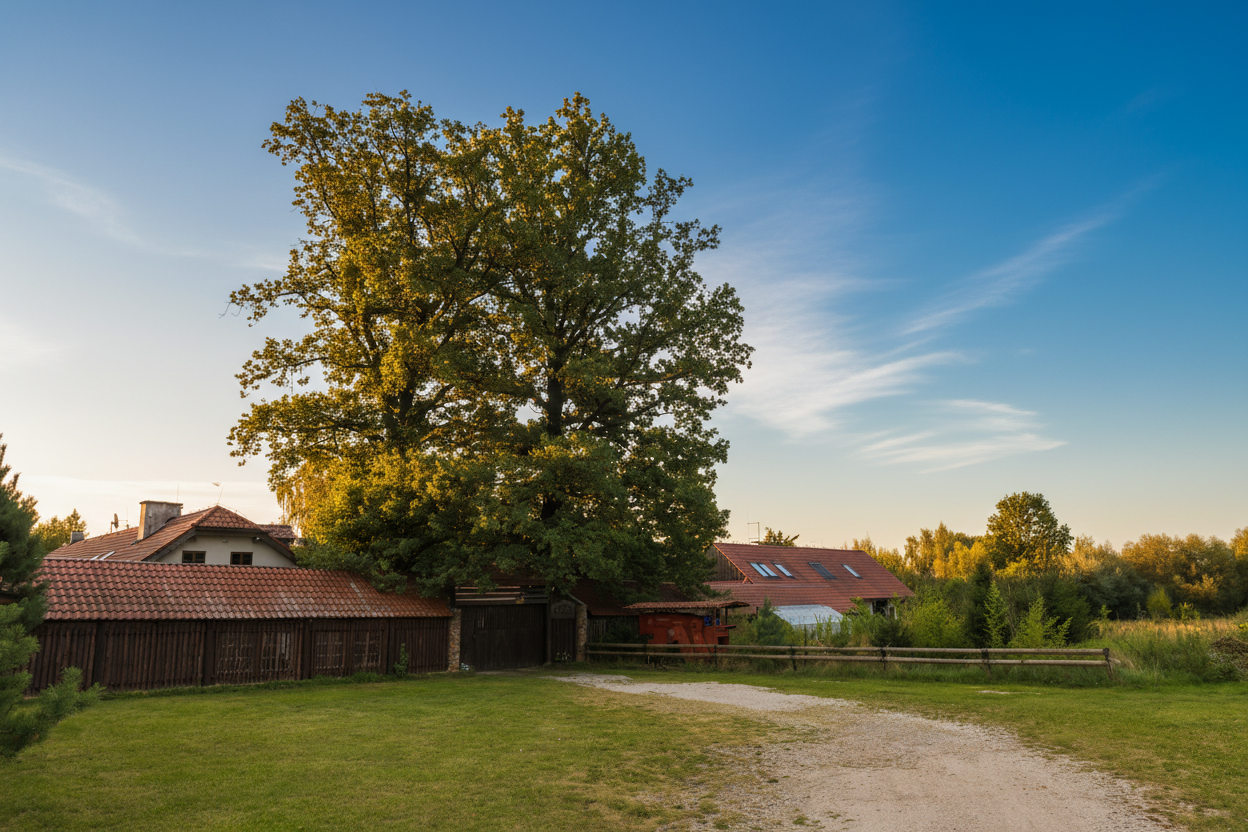 Brána