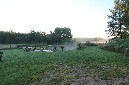  #885